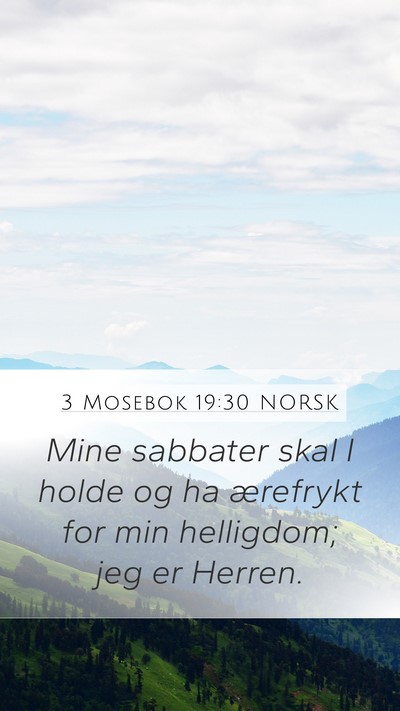 3 Mosebok 19:30 NORSK Bible Verse Image