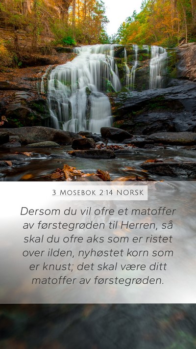 3 Mosebok 2:14 NORSK Bible Verse Image
