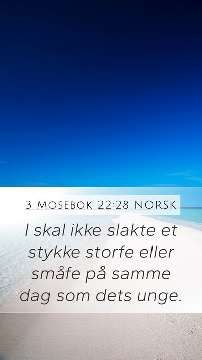3 Mosebok 22:28 NORSK Bible Verse Image