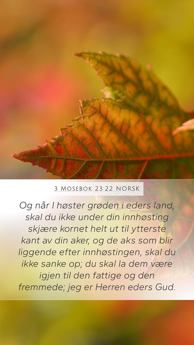 3 Mosebok 23:22 NORSK Bible Verse Image