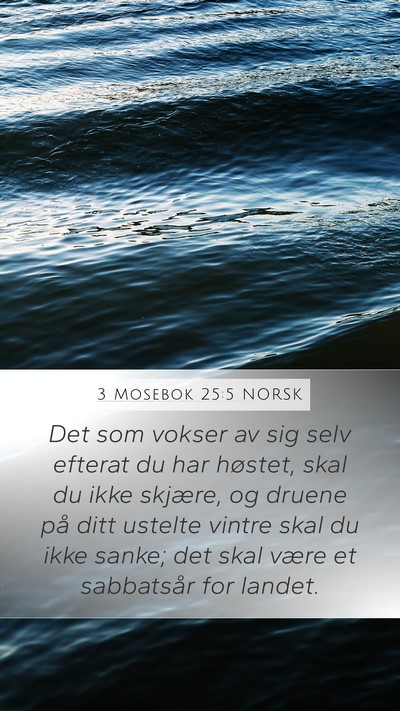 3 Mosebok 25:5 NORSK Mobile Phone Wallpaper - Det som vokser av sig selv efterat du har - Mobile Bible Verse Wallpaper