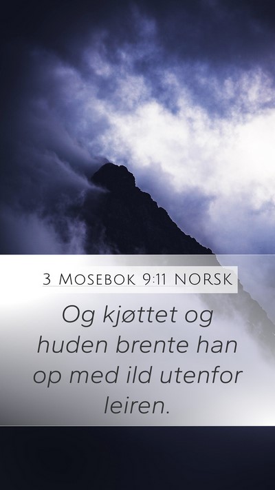 3 Mosebok 9:11 NORSK Mobile Phone Wallpaper - Og kjøttet og huden brente han op med ild - Mobile Bible Verse Wallpaper