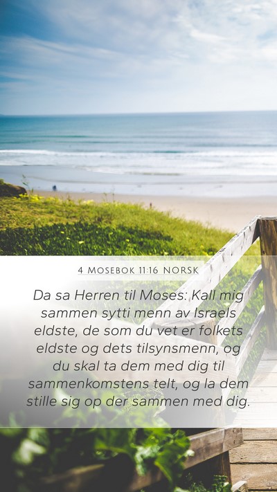 4 Mosebok 11:16 NORSK Bible Verse Image