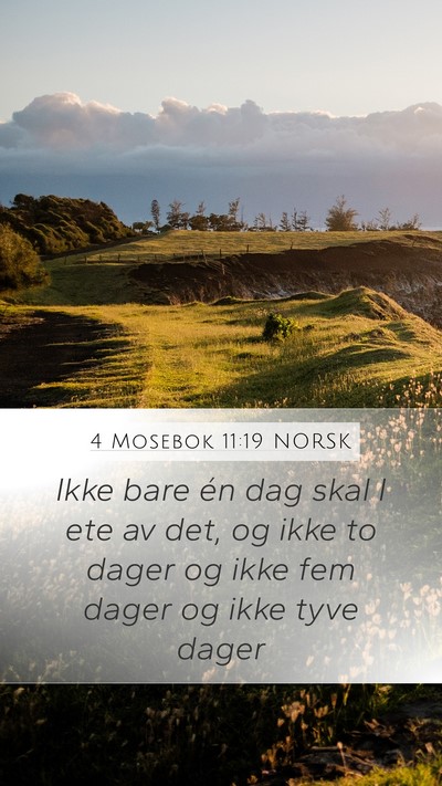 4 Mosebok 11:19 NORSK Mobile Phone Wallpaper - Ikke bare én dag skal I ete av det, og ikke to - Mobile Bible Verse Wallpaper