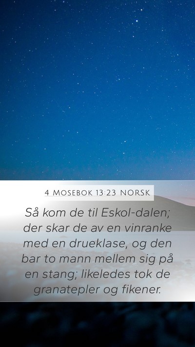4 Mosebok 13:23 NORSK Bible Verse Image