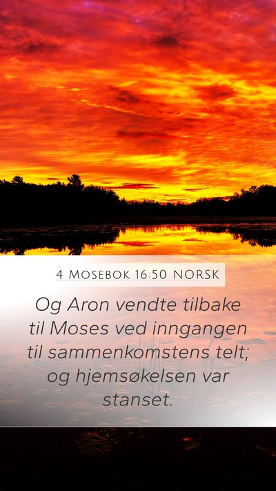 4 Mosebok 16:50 NORSK Mobile Phone Wallpaper - Og Aron vendte tilbake til Moses ved inngangen - Mobile Bible Verse Wallpaper