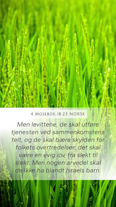 4 Mosebok 18:23 NORSK Bible Verse Image