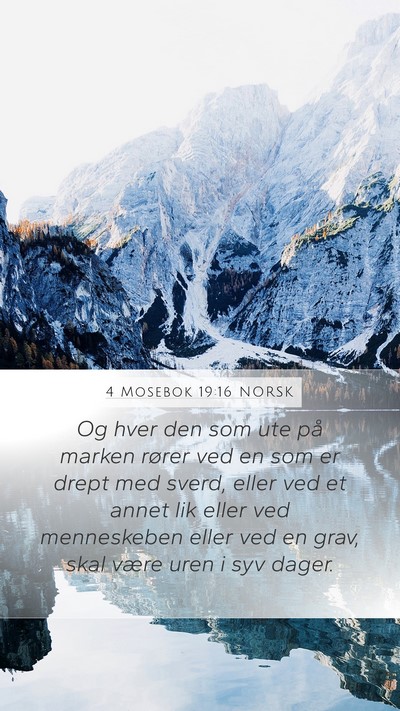 4 Mosebok 19:16 NORSK Bible Verse Image