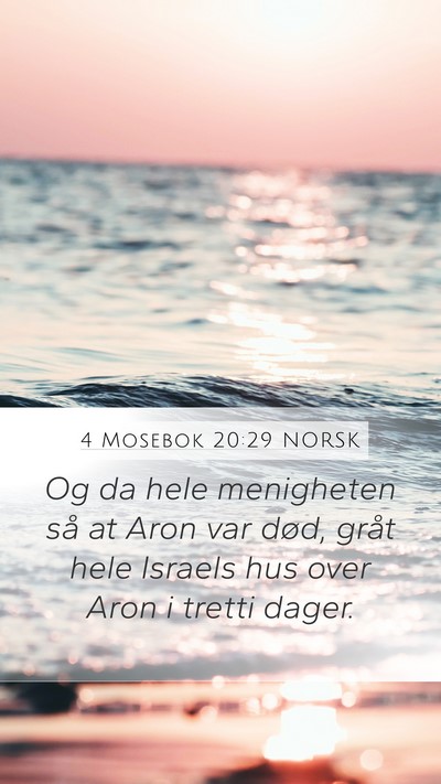 4 Mosebok 20:29 NORSK Bible Verse Image