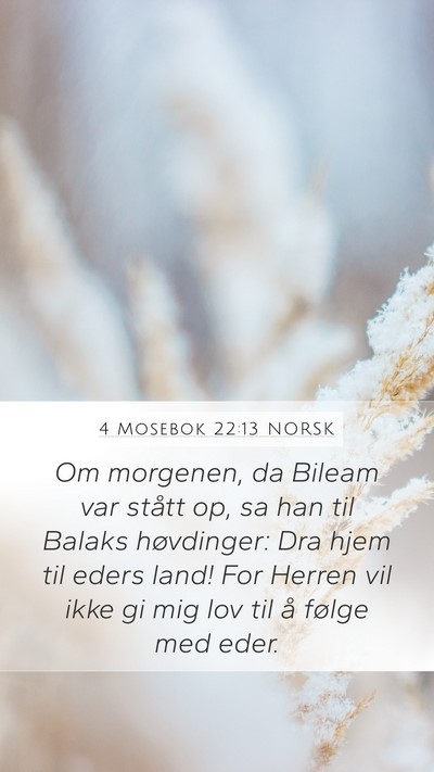 4 Mosebok 22:13 NORSK Bible Verse Image