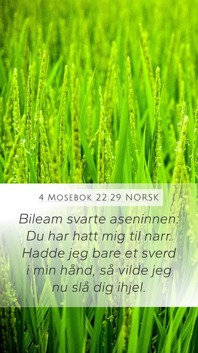 4 Mosebok 22:29 NORSK Mobile Phone Wallpaper - Bileam svarte aseninnen: Du har hatt mig til - Mobile Bible Verse Wallpaper