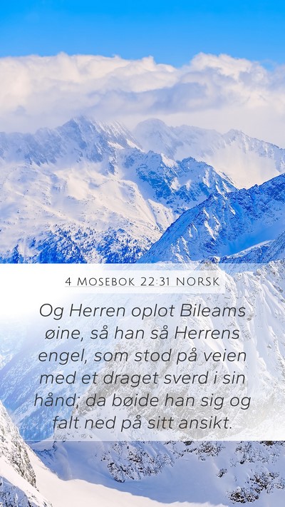 4 Mosebok 22:31 NORSK Bible Verse Image