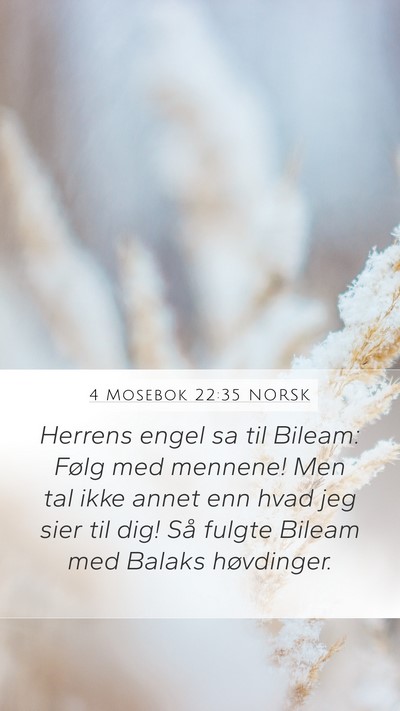 4 Mosebok 22:35 NORSK Bible Verse Image