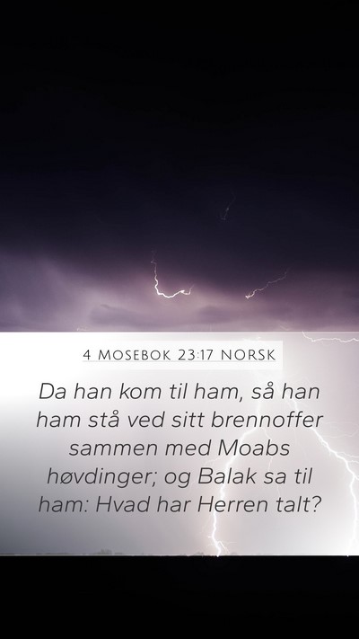 4 Mosebok 23:17 NORSK Mobile Phone Wallpaper - Da han kom til ham, så han ham stå ved sitt - Mobile Bible Verse Wallpaper