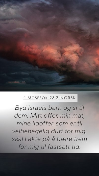 4 Mosebok 28:2 NORSK Mobile Phone Wallpaper - Byd Israels barn og si til dem: Mitt offer, min - Mobile Bible Verse Wallpaper