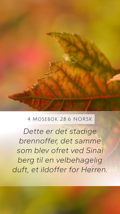 4 Mosebok 28:6 NORSK Mobile Phone Wallpaper - Dette er det stadige brennoffer, det samme som - Mobile Bible Verse Wallpaper