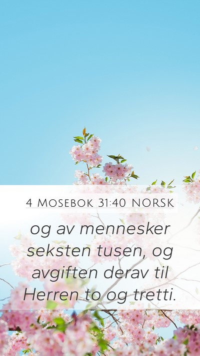 4 Mosebok 31:40 NORSK Mobile Phone Wallpaper - og av mennesker seksten tusen, og avgiften derav - Mobile Bible Verse Wallpaper