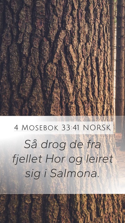 4 Mosebok 33:41 NORSK Bible Verse Image
