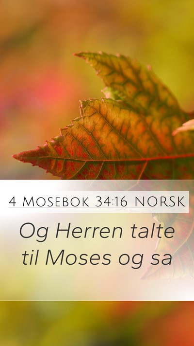4 Mosebok 34:16 NORSK Mobile Phone Wallpaper - Og Herren talte til Moses og - Mobile Bible Verse Wallpaper