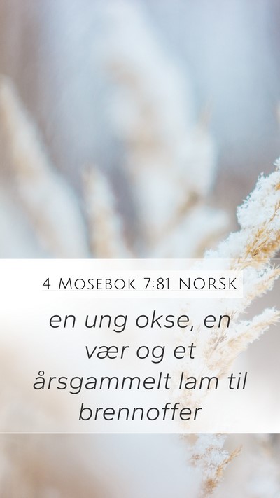 4 Mosebok 7:81 NORSK Mobile Phone Wallpaper - en ung okse, en vær og et årsgammelt lam til - Mobile Bible Verse Wallpaper