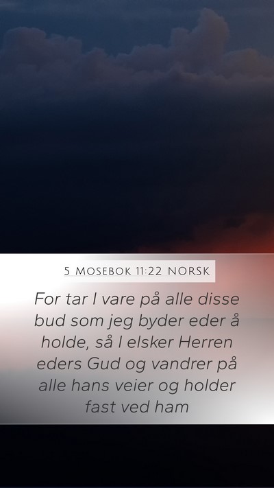 5 Mosebok 11:22 NORSK Bible Verse Image