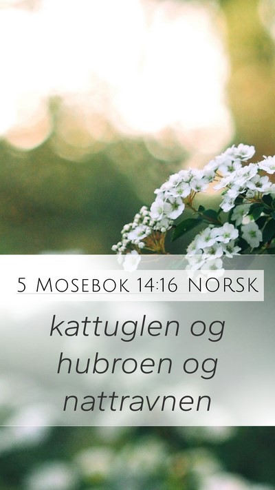 5 Mosebok 14:16 NORSK Mobile Phone Wallpaper - kattuglen og hubroen og - Mobile Bible Verse Wallpaper
