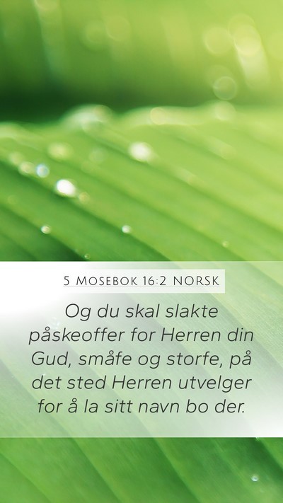 5 Mosebok 16:2 NORSK Bible Verse Image