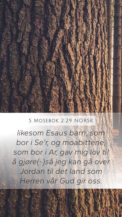 5 Mosebok 2:29 NORSK Bible Verse Image