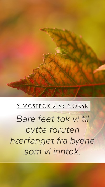 5 Mosebok 2:35 NORSK Bible Verse Image