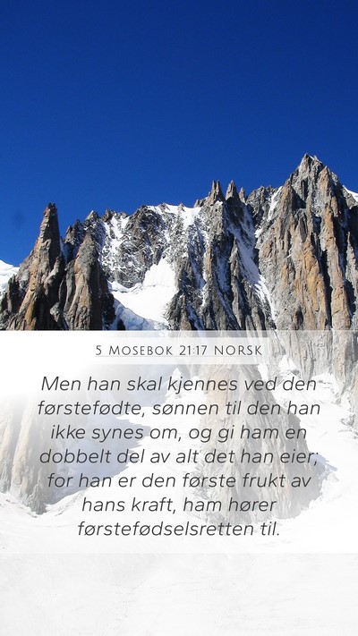 5 Mosebok 21:17 NORSK Bible Verse Image