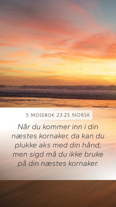 5 Mosebok 23:25 NORSK Bible Verse Image