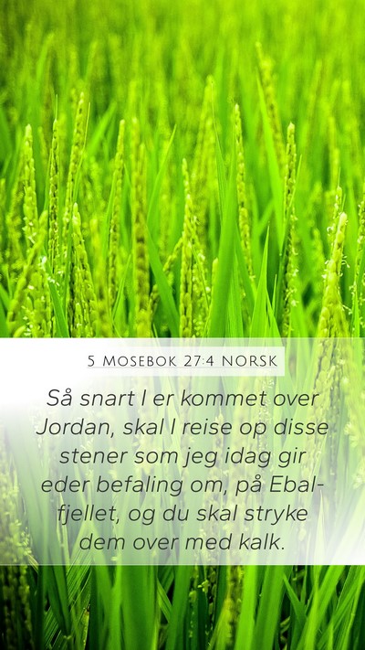 5 Mosebok 27:4 NORSK Bible Verse Image