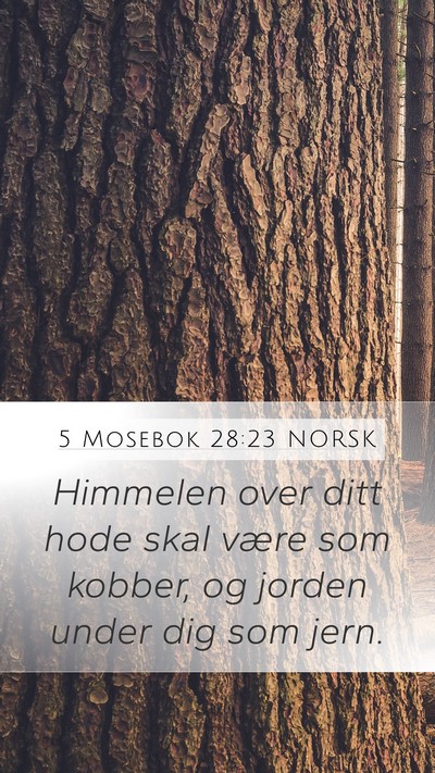 5 Mosebok 28:23 NORSK Bible Verse Image