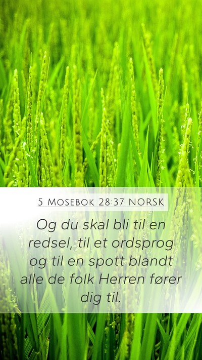 5 Mosebok 28:37 NORSK Bible Verse Image