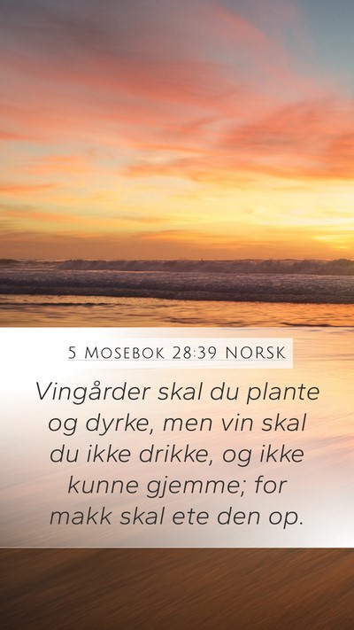 5 Mosebok 28:39 NORSK Bible Verse Image