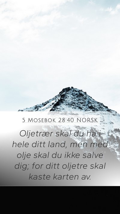 5 Mosebok 28:40 NORSK Bible Verse Image
