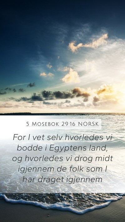 5 Mosebok 29:16 NORSK Bible Verse Image