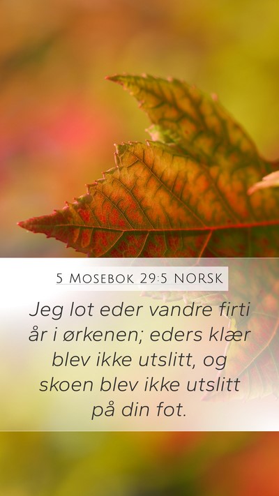 5 Mosebok 29:5 NORSK Bible Verse Image