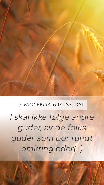 5 Mosebok 6:14 NORSK Bible Verse Image