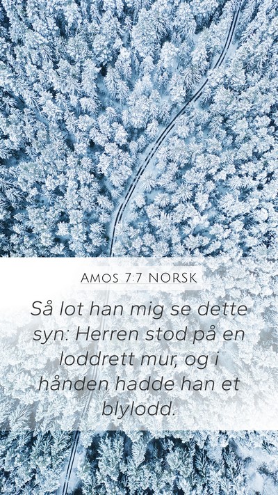 Amos 7:7 NORSK Bible Verse Image