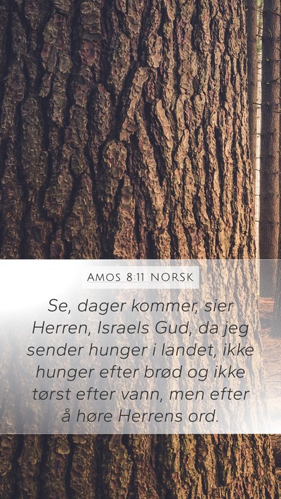 Amos 8:11 NORSK Bible Verse Image