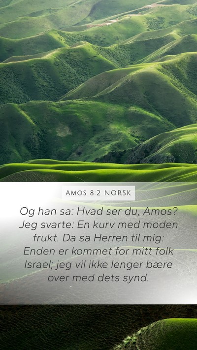 Amos 8:2 NORSK Bible Verse Image