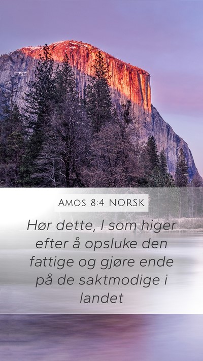 Amos 8:4 NORSK Bible Verse Image