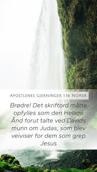Apostlenes gjerninger 1:16 NORSK Bible Verse Image