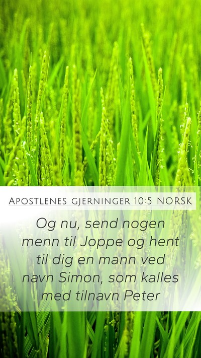Apostlenes gjerninger 10:5 NORSK Bible Verse Image