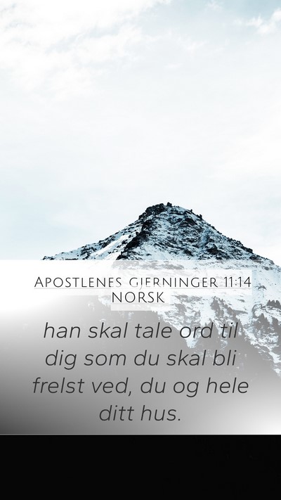 Apostlenes gjerninger 11:14 NORSK Bible Verse Image