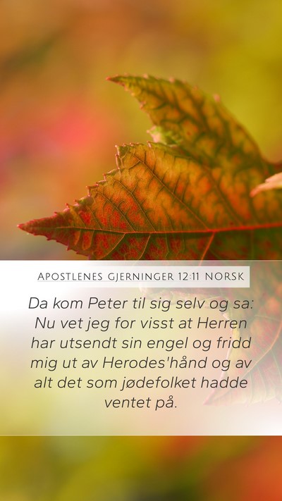 Apostlenes gjerninger 12:11 NORSK Bible Verse Image