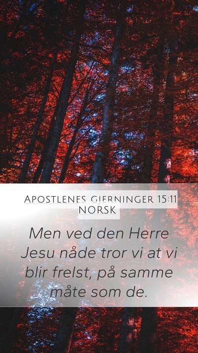 Apostlenes gjerninger 15:11 NORSK Mobile Phone Wallpaper - Men ved den Herre Jesu nåde tror vi at vi blir - Mobile Bible Verse Wallpaper