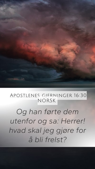 Apostlenes gjerninger 16:30 NORSK Bible Verse Image