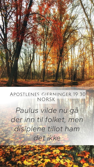 Apostlenes gjerninger 19:30 NORSK Mobile Phone Wallpaper - Paulus vilde nu gå der inn til folket, men - Mobile Bible Verse Wallpaper